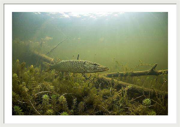 Silent Hunter Beneath The Surface