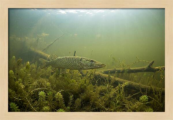 Silent Hunter Beneath The Surface