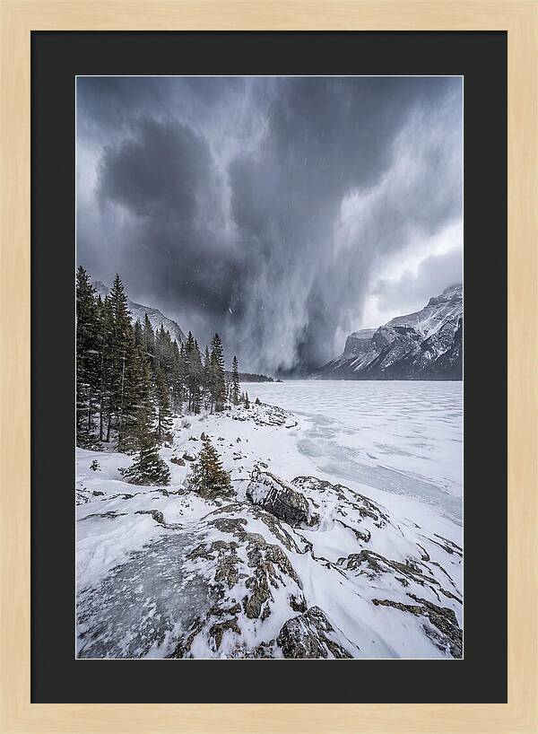 Silent Whispers Of Winter