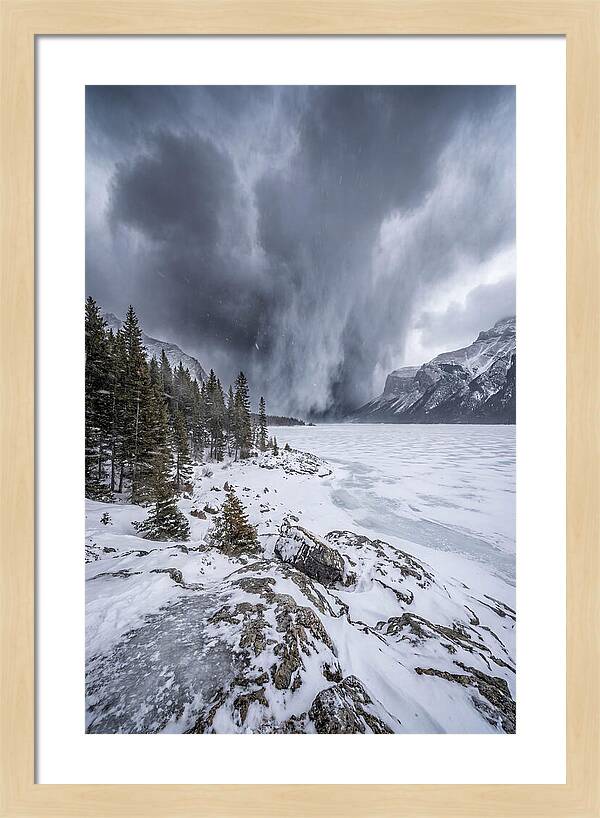 Silent Whispers Of Winter