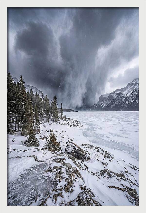 Silent Whispers Of Winter