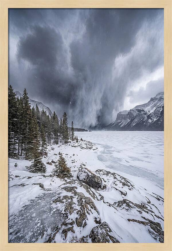 Silent Whispers Of Winter