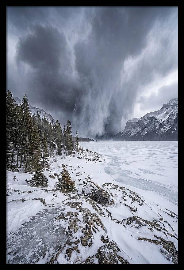 Silent Whispers Of Winter