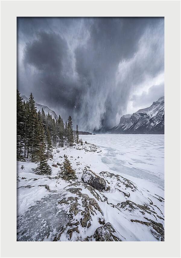 Silent Whispers Of Winter
