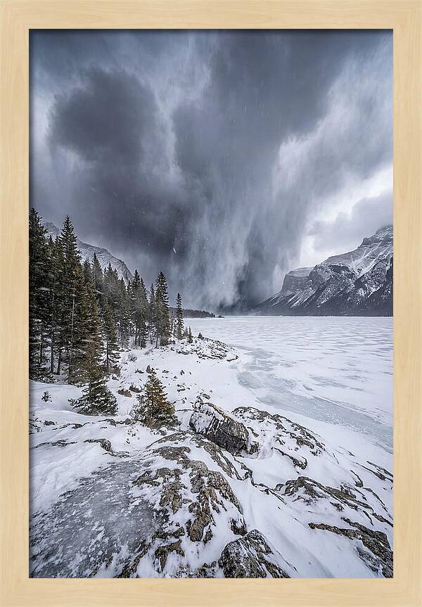 Silent Whispers Of Winter