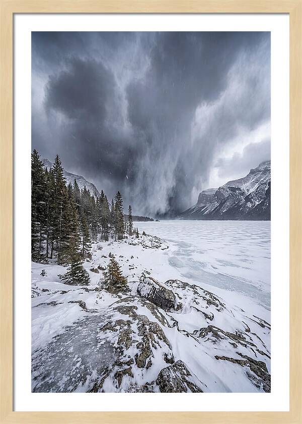 Silent Whispers Of Winter