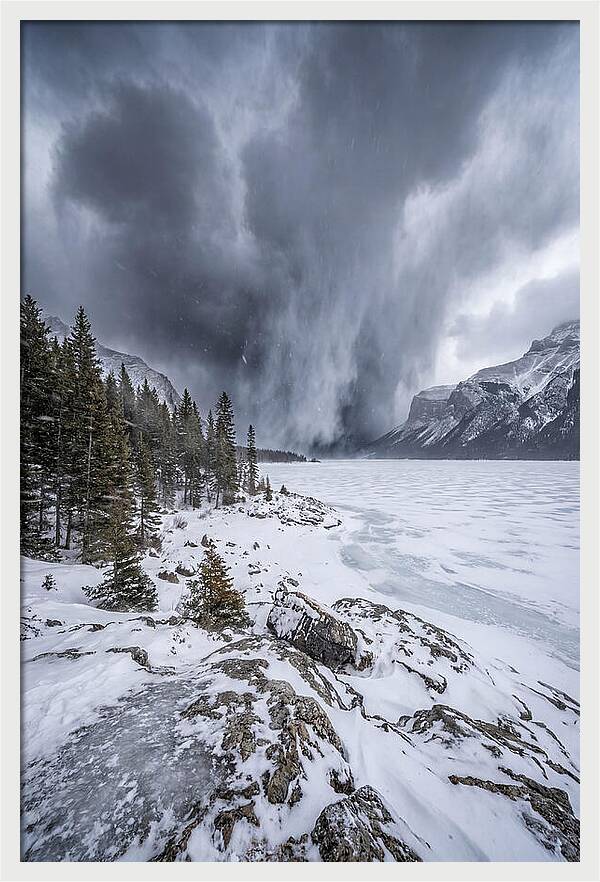 Silent Whispers Of Winter