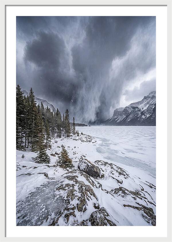 Silent Whispers Of Winter