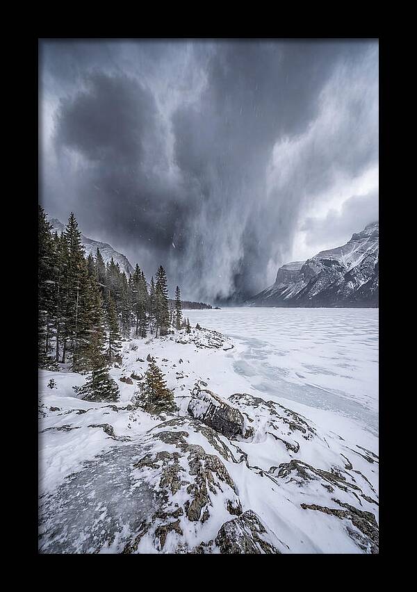 Silent Whispers Of Winter