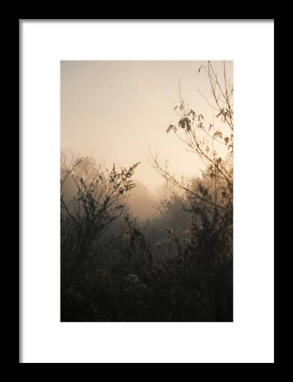 Silhouette And Light