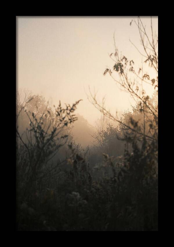 Silhouette And Light