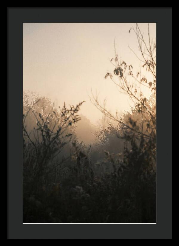 Silhouette And Light
