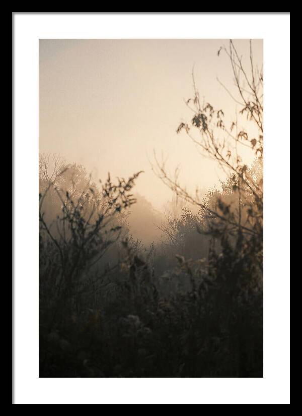 Silhouette And Light