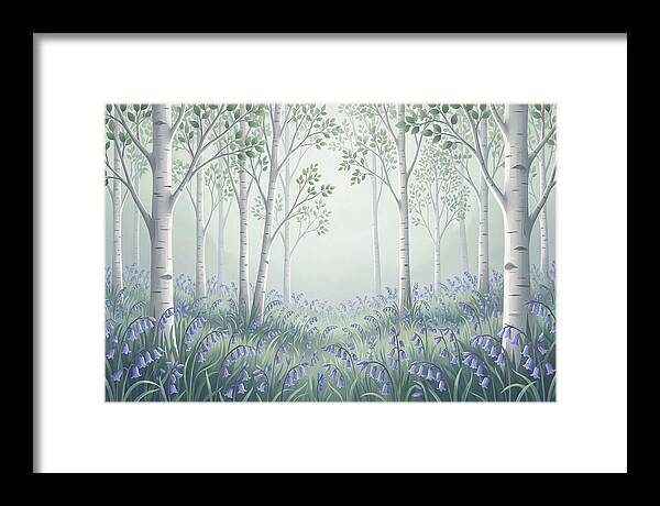 Silver Birch Woodland With Bluebells