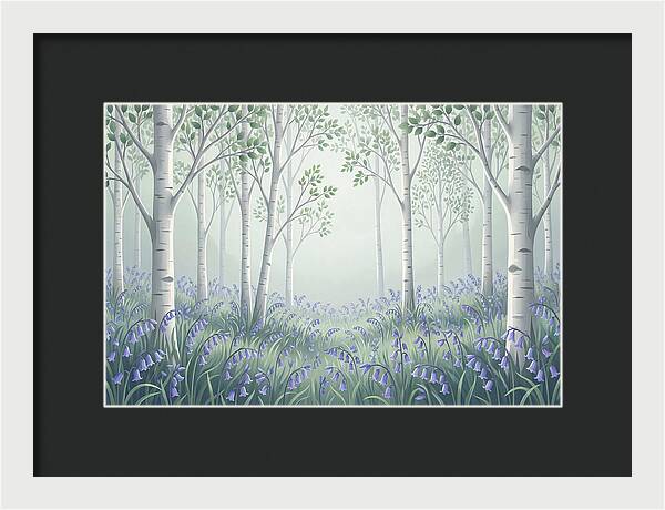 Silver Birch Woodland With Bluebells