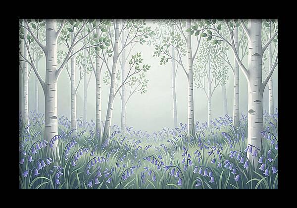 Silver Birch Woodland With Bluebells