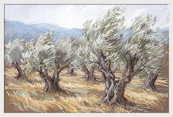 Silver In The Wind