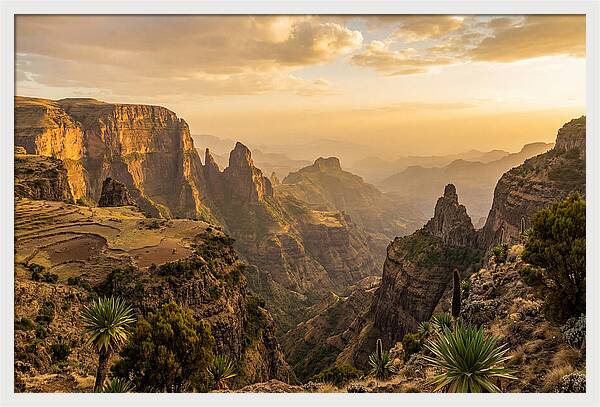 Simien Mountains At Golden Hour