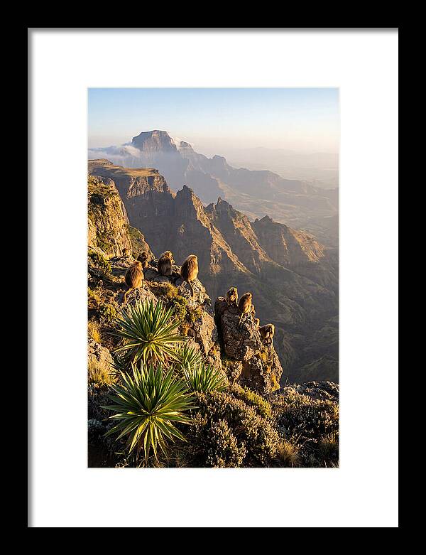 Simien Mountains At Sunrise