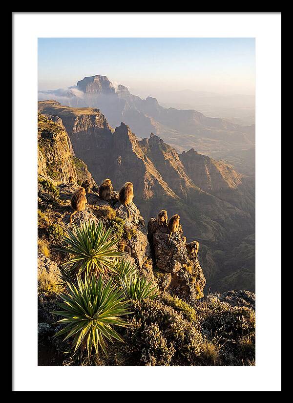Simien Mountains At Sunrise