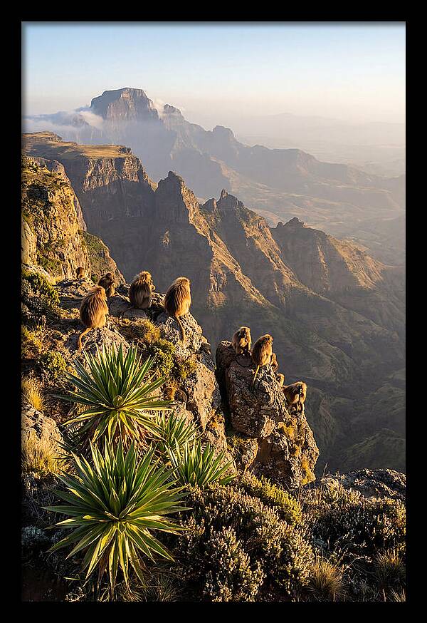 Simien Mountains At Sunrise