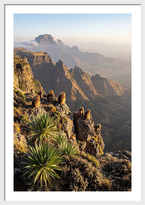 Simien Mountains At Sunrise