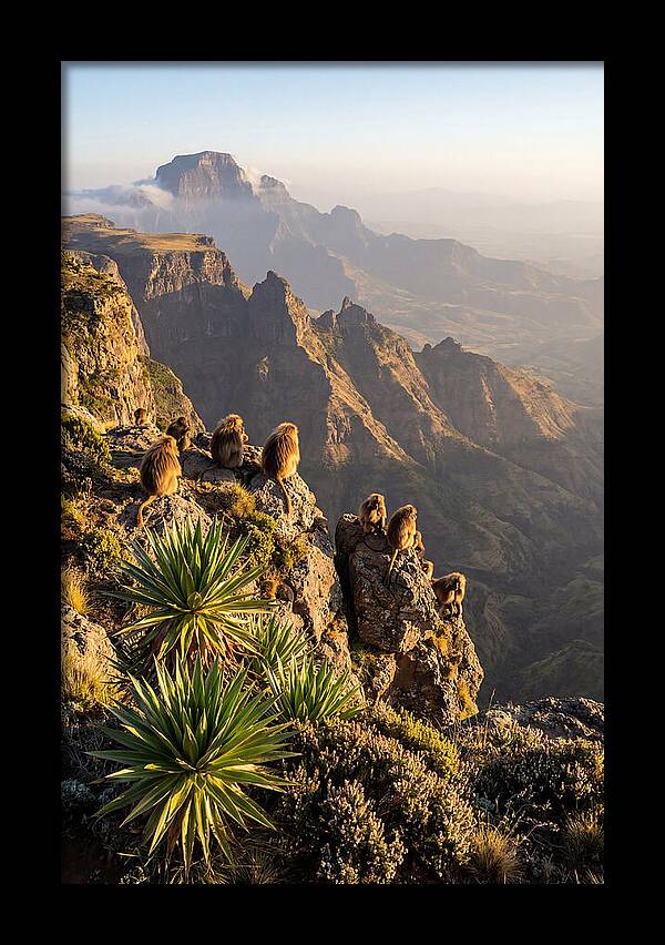 Simien Mountains At Sunrise