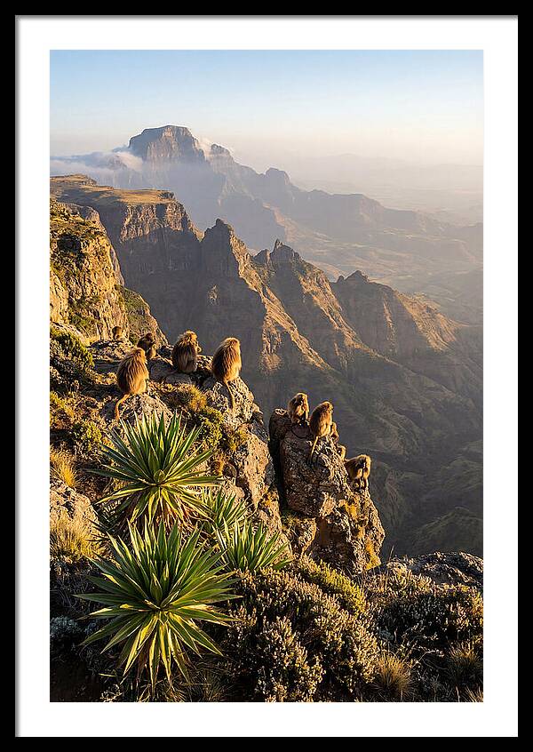Simien Mountains At Sunrise