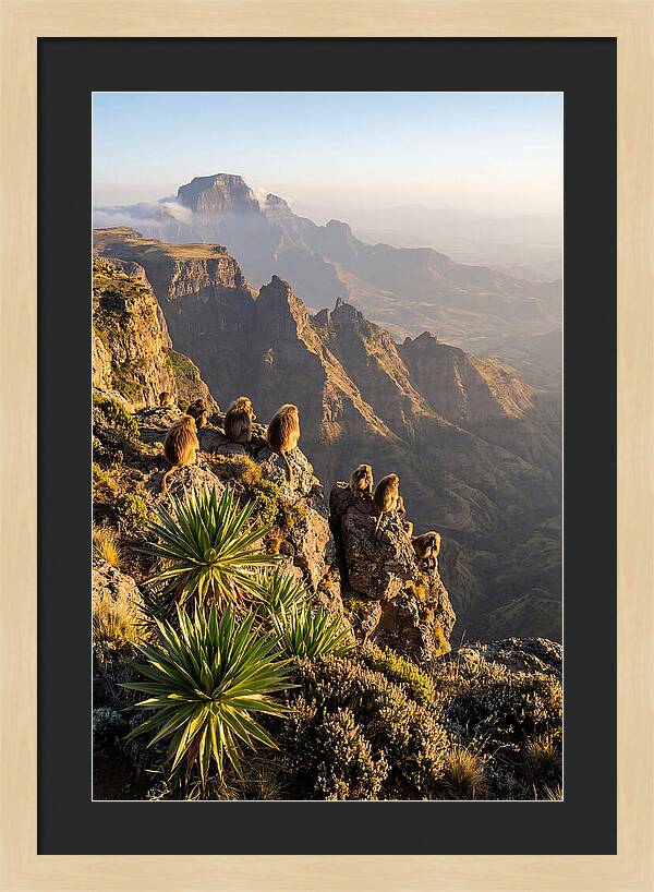 Simien Mountains At Sunrise