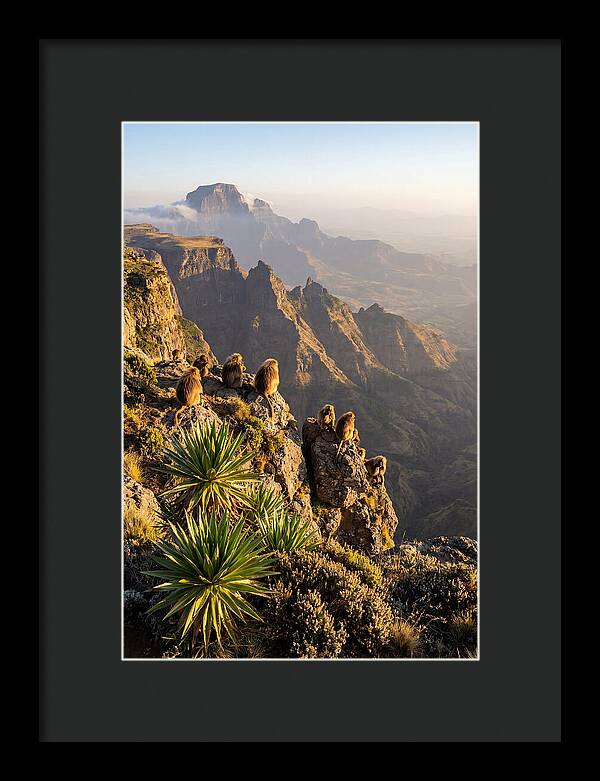 Simien Mountains At Sunrise