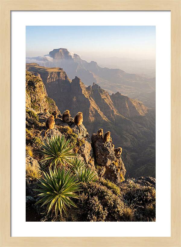 Simien Mountains At Sunrise