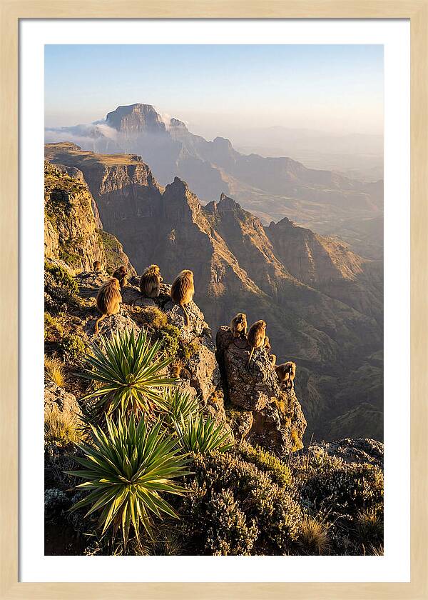 Simien Mountains At Sunrise