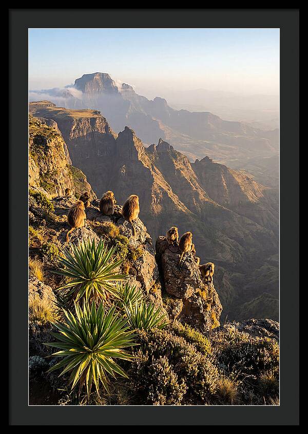 Simien Mountains At Sunrise
