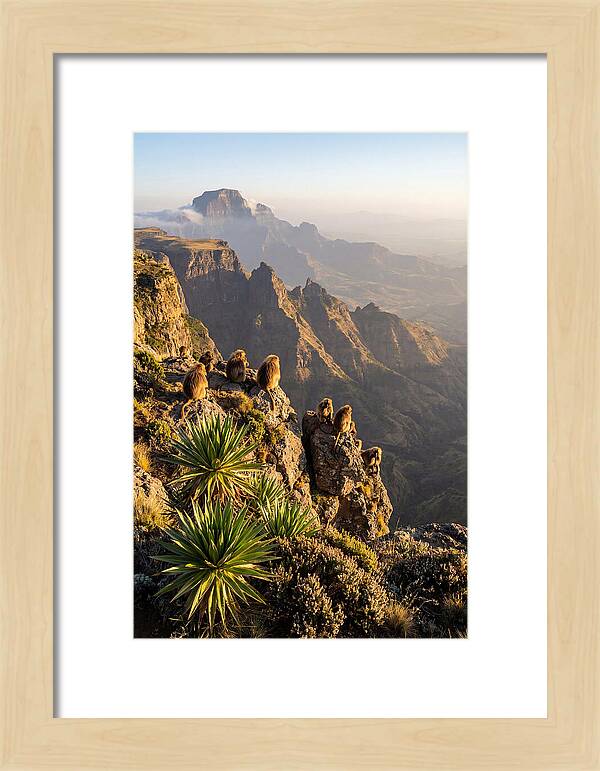 Simien Mountains At Sunrise