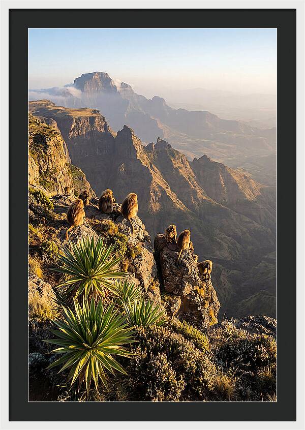 Simien Mountains At Sunrise