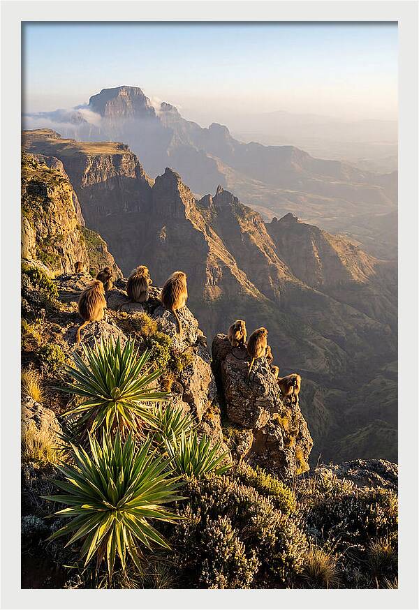 Simien Mountains At Sunrise