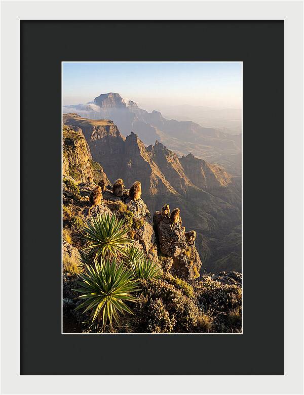 Simien Mountains At Sunrise