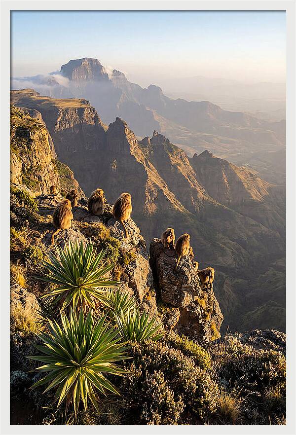 Simien Mountains At Sunrise
