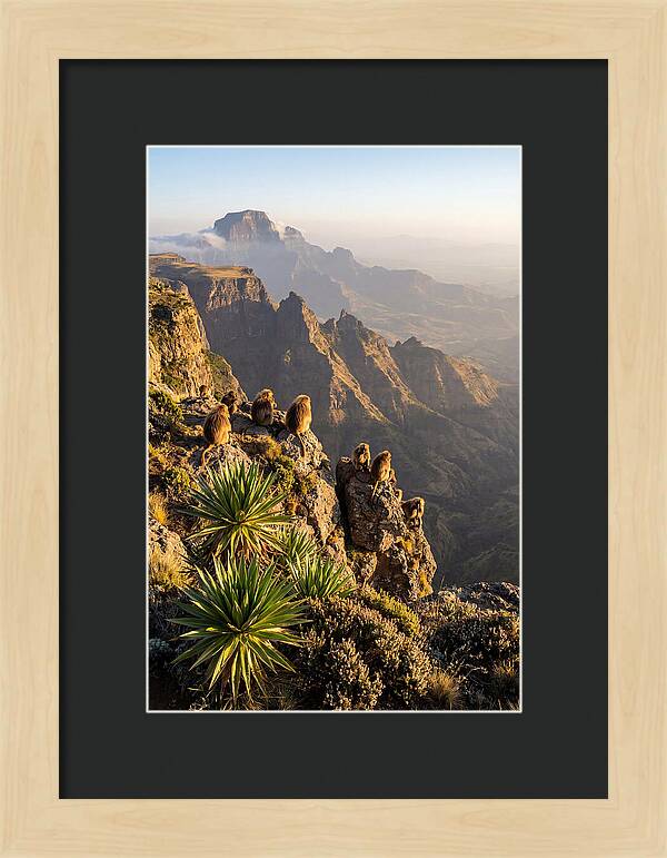 Simien Mountains At Sunrise