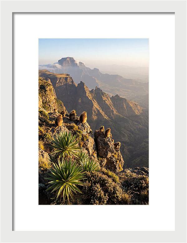 Simien Mountains At Sunrise