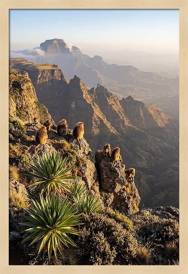 Simien Mountains At Sunrise