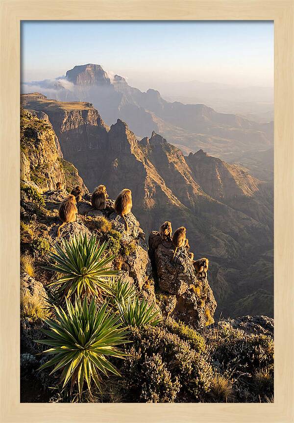 Simien Mountains At Sunrise