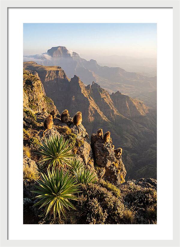Simien Mountains At Sunrise