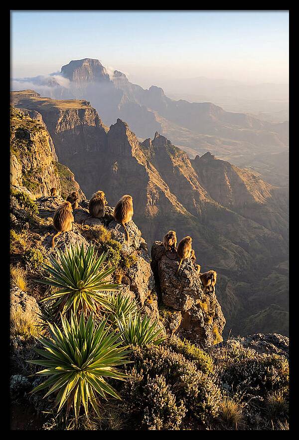 Simien Mountains At Sunrise