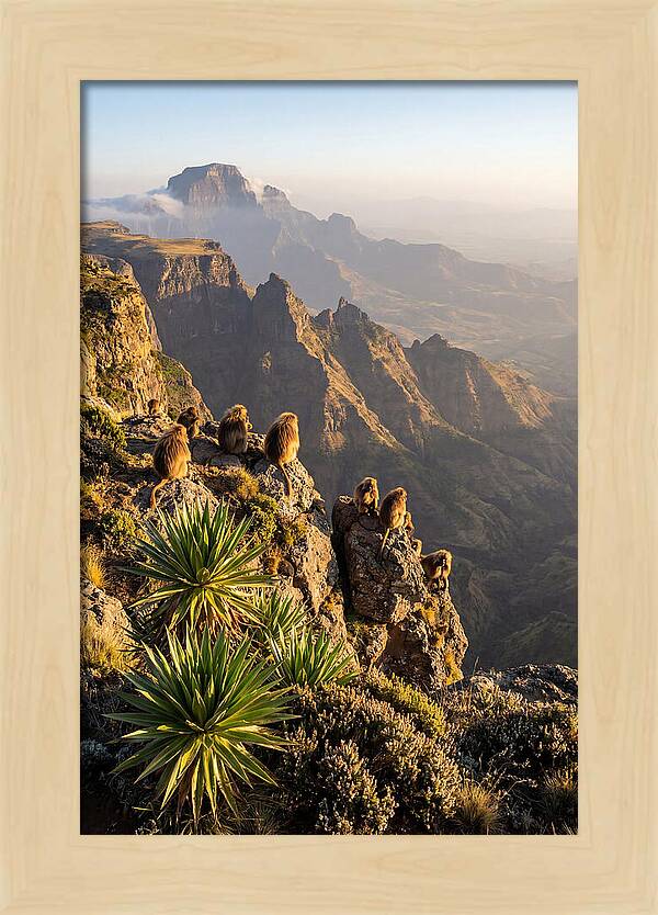 Simien Mountains At Sunrise