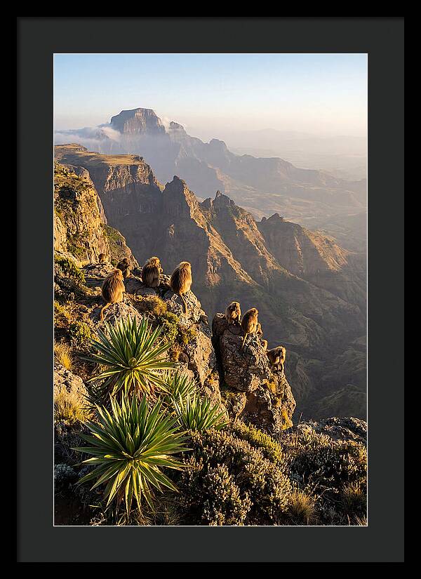 Simien Mountains At Sunrise