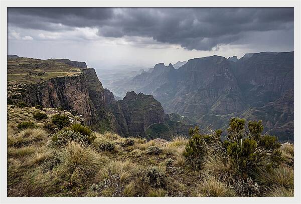 Simien Mountains Majesty