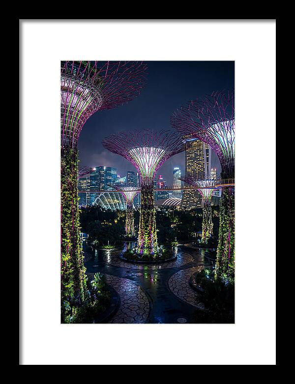 Singapore Gardens Supertrees At Night