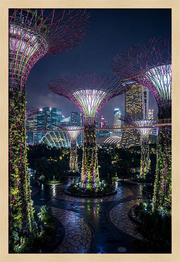 Singapore Gardens Supertrees At Night