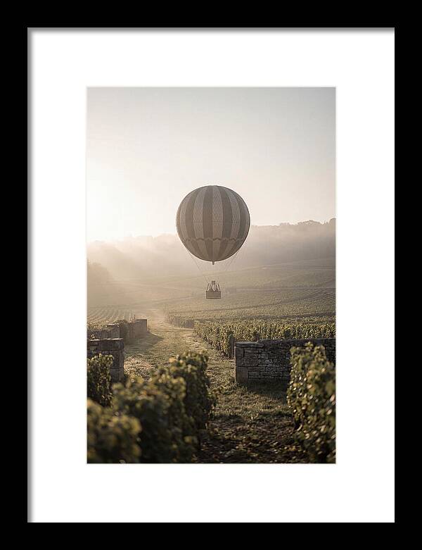 Single Hot Air Balloon Over Vineyard